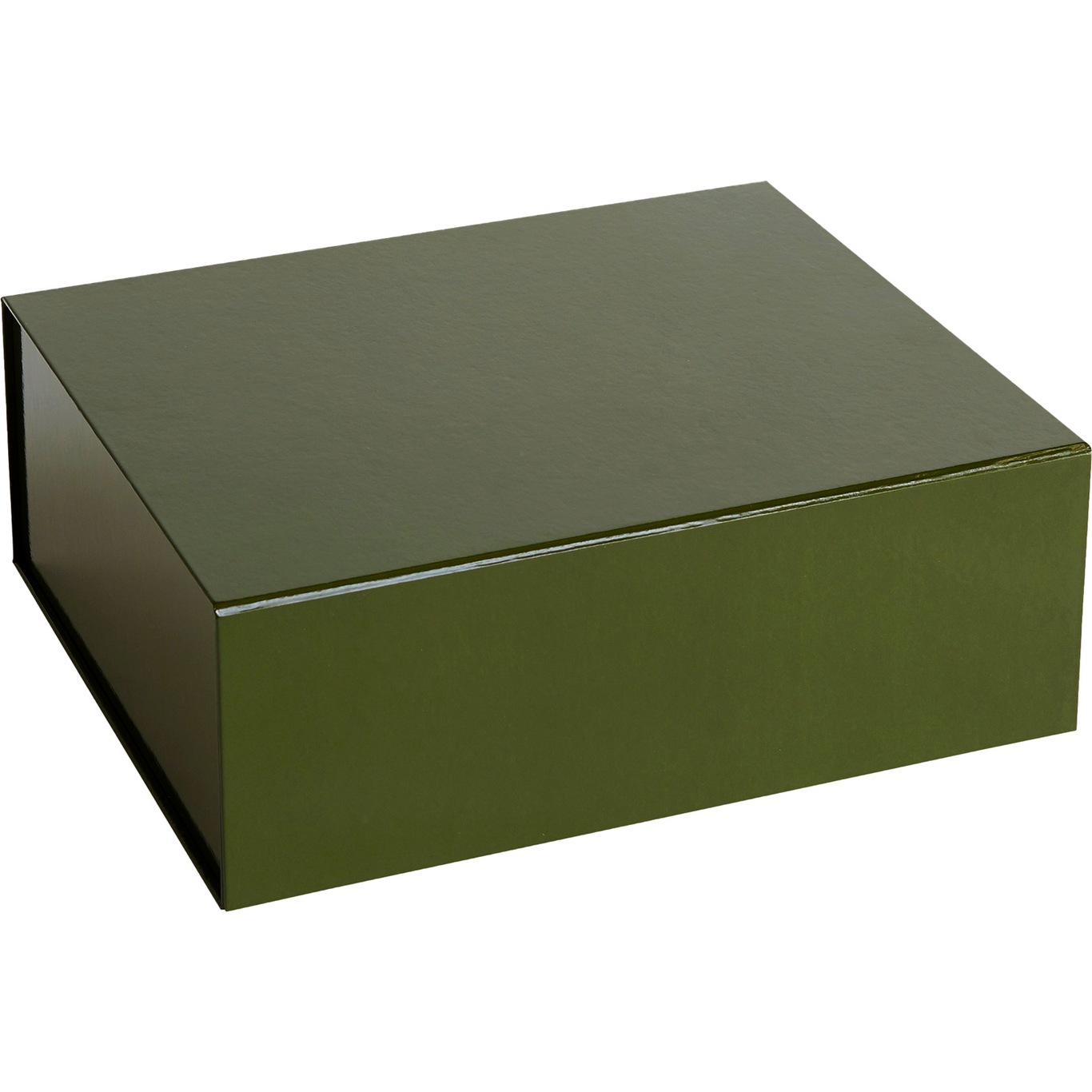 Colour Storage Box M, Olive