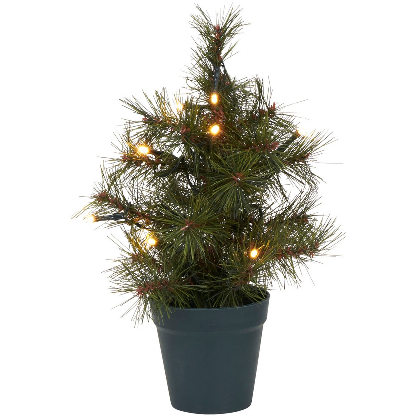 Pinus Christmas Tree Green, 30 cm