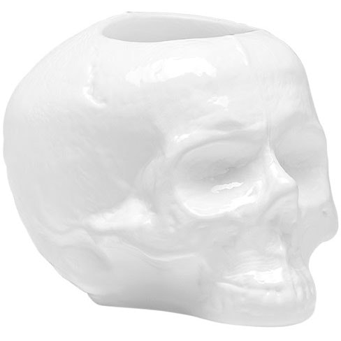 Still Life Skull Lantern, White