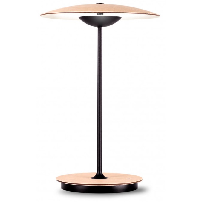 Ginger 20 M Table Lamp Portable, Oak
