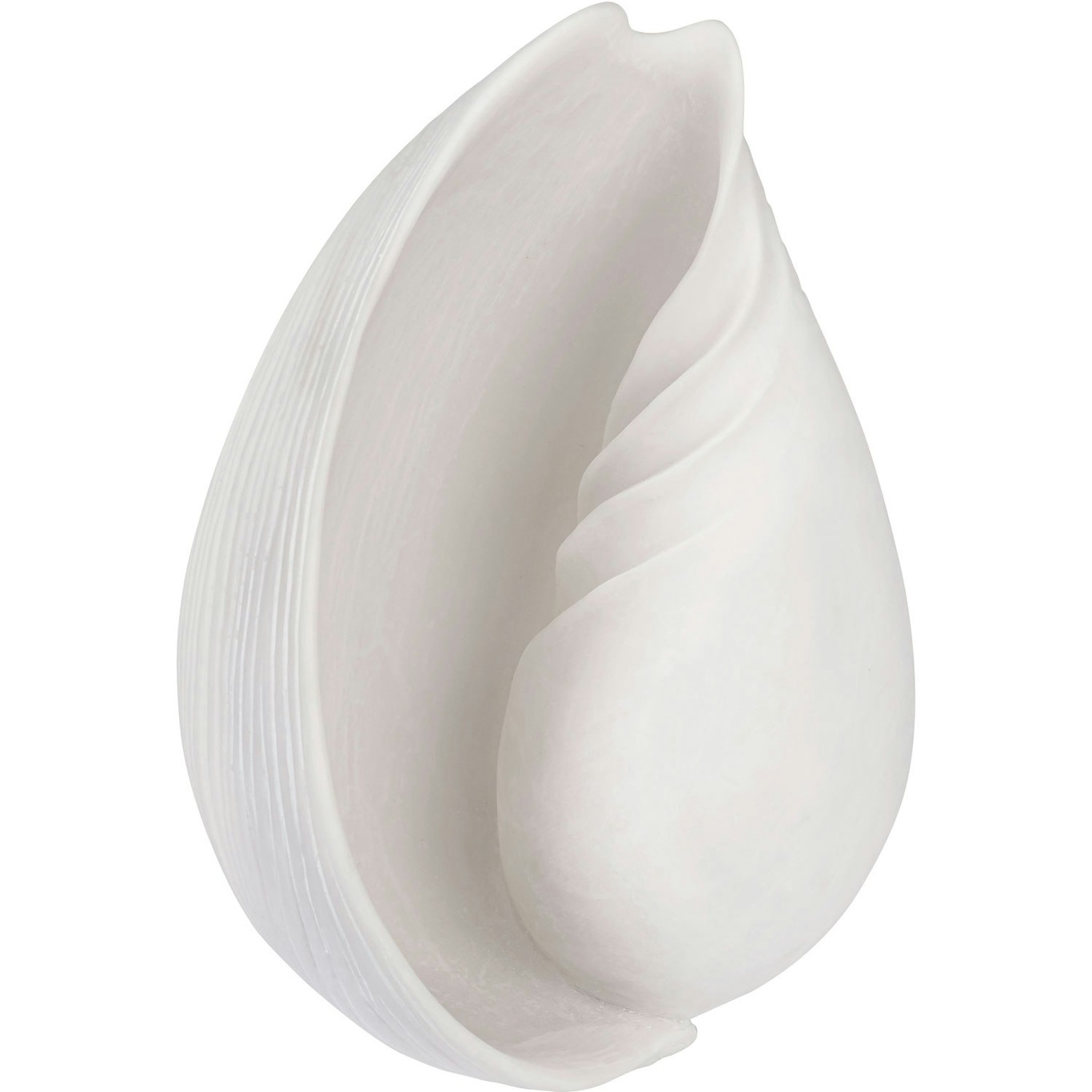 CONCH shell Decoration Off-white, Large