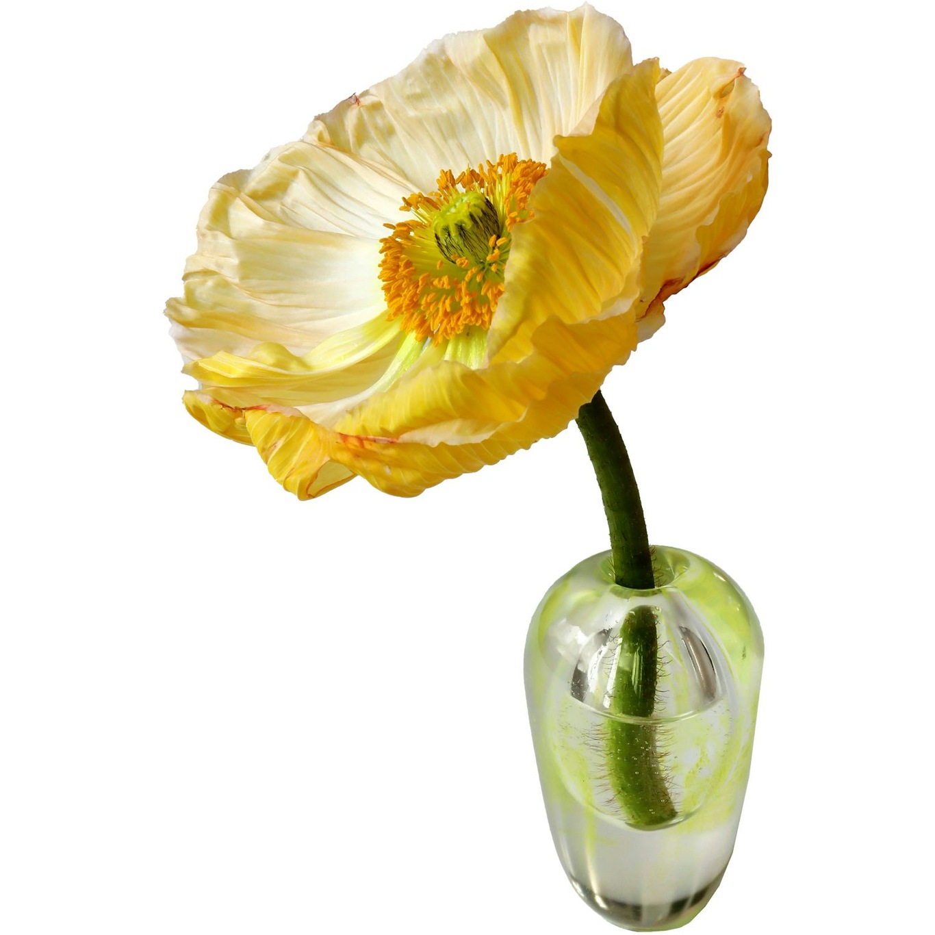 Liv Vase Mouth-blown Glass, Yellow