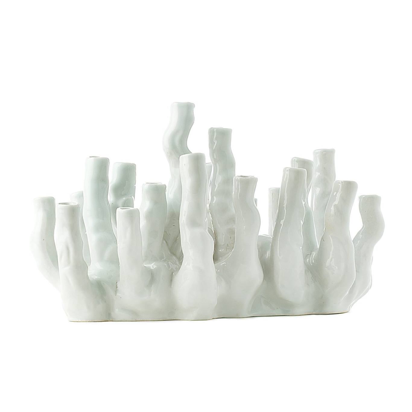 Coral reef Vase, White
