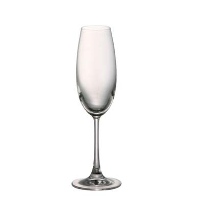 DiVino Champagne Glass 22 cl, 6-Pack